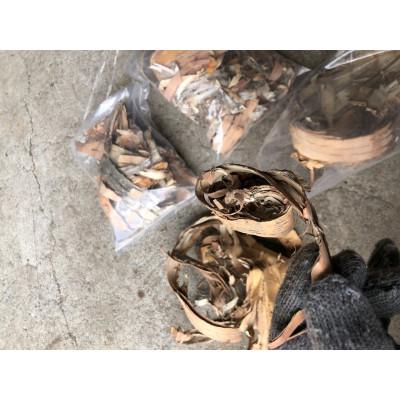 ふるさと納税 芦別市 焚き付けカバの樹皮　3袋 |  | 01