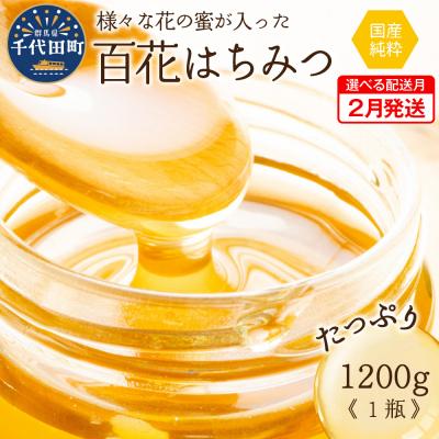 ふるさと納税 千代田町 《2026年2月発送》 はちみつ 千代田町の蜂蜜1200g 百花蜂蜜 ch011-004rr-02
