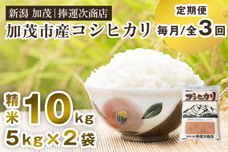 【令和8年産新米】【定期便3ヶ月毎月お届け】加茂市産コシヒカリ 精米 10kg 《10月上旬～順次出荷》 こしひかり 新潟米 お米 白米 ライス ご飯 加茂市 捧運次商店