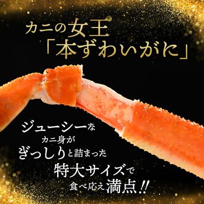 ふるさと納税 紋別市 【特大4L〜5L】ボイル本ずわいがに肩脚　4〜5肩(約1.5kg) |  | 01