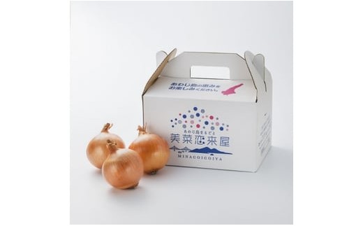 
                  淡路島たまねぎ　３kg箱
                