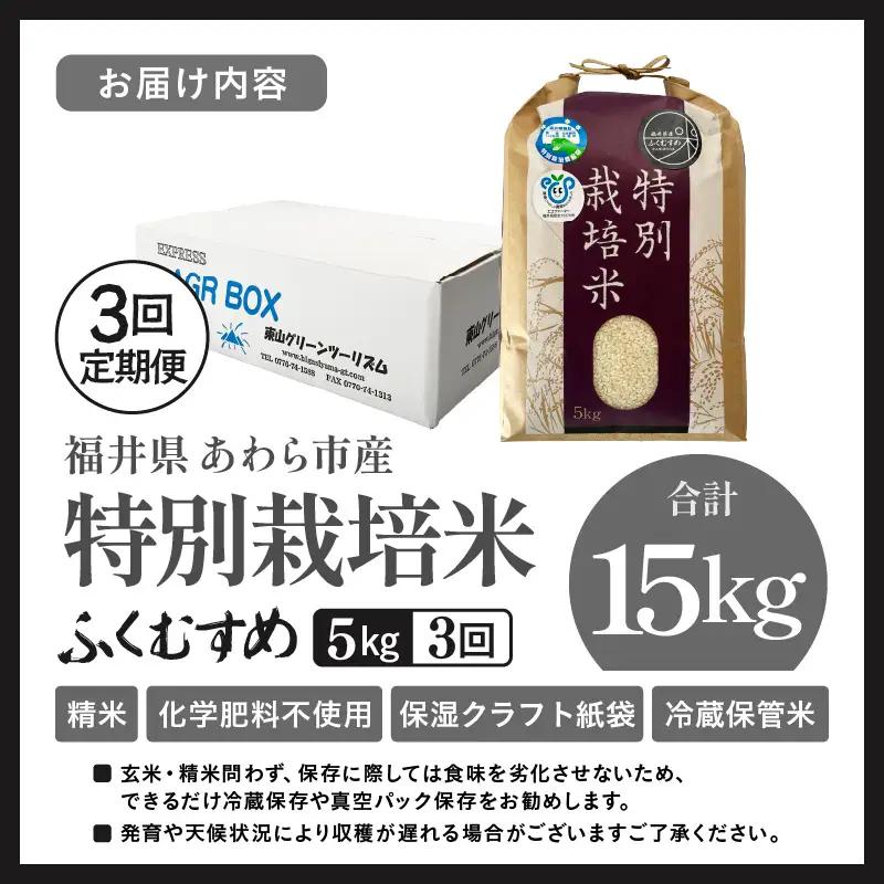 【先行予約】【令和8年産】定期便 ≪3ヶ月連続お届け≫ 化学肥料不使用 ふくむすめ 精米 5kg × 3回（合計15kg） / 白米 米 福井県あわら市産 美味しい 特別栽培米 減農薬 安心な米 旨味