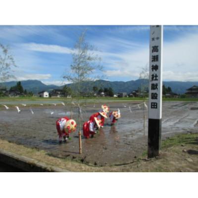 ふるさと納税 南砺市 【発送月固定定期便】富山県産こしひかり　育(はぐくみ) 白米3kg×2袋《南砺の逸品》全12回 |  | 03