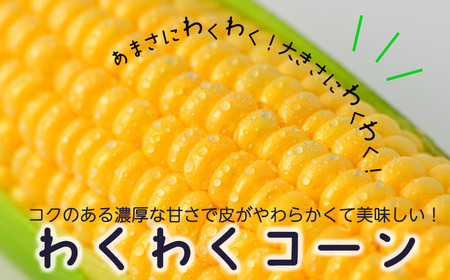 【令和8年産先行受付】北海道とままえ産スイートコーン　7本（先行予約　北海道産　とうもろこし　とうきび　朝どれ　朝もぎ　旬　新鮮　送料無料　冷蔵）