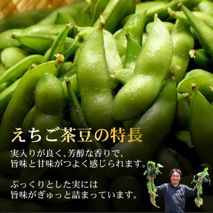 【8月2日まで！】 枝豆 えちご茶豆 1kg えだまめ 枝豆 枝豆 枝豆 枝豆 枝豆 genzou001