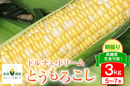 【先行受付】夢のような美味しさ！生食可能 高糖度 とうもろこし ドルチェ・ドリーム 3kg (5～7本) [桑高農園 静岡県 吉田町 22424250]