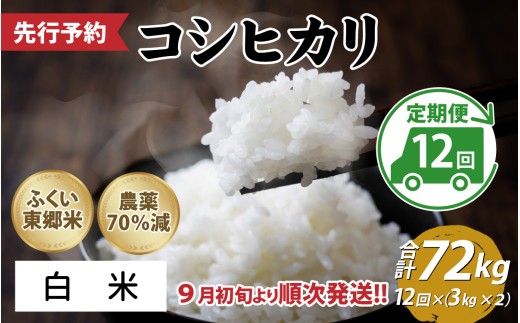 【先行予約】【定期便12ヶ月連続】令和8年産 新米ふくい東郷米 特別栽培米　農薬70％減コシヒカリ 6kg(3kg×2袋)×12ヶ月　合計72kg「2026年9月初旬より順次発送」【白米】[O-020025_01]