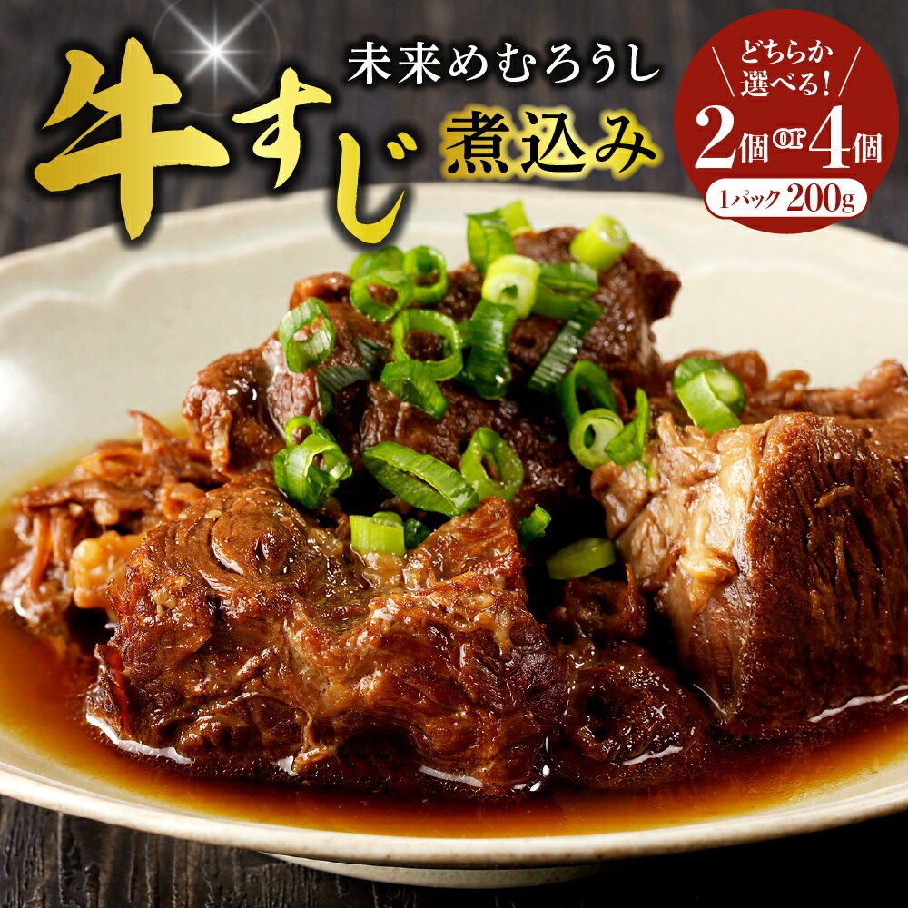 【ふるさと納税】未来めむろうし 牛すじ 煮込み 選べる内容量（2個 計400g／4個 計800g） 冷凍 和牛 国産 牛肉 ビーフ 加工食品 加工品 惣菜 おかず おつまみ パック セット 贈り物 ギフト お取り寄せ 北海道 十勝 芽室町