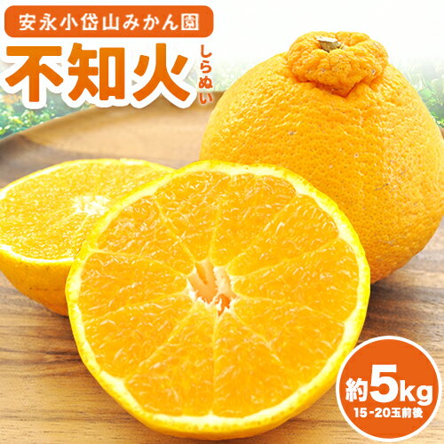 【ふるさと納税】 不知火 越冬でこちゃん（ 不知火 ）約 5kg (15〜20玉前後） しらぬい みかん ミカン 蜜柑《2月上旬-3月下旬頃出荷》熊本県 荒尾市 デコポン と同品種 柑橘 フルーツ 果物 安永小岱山みかん園