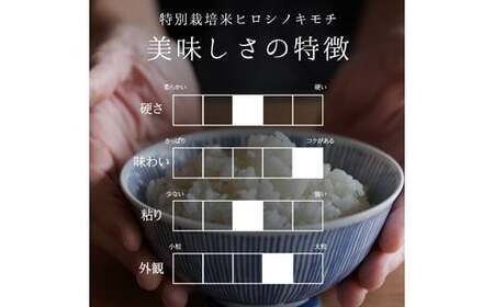 富山県ブランド米 富富富 玄米 10kg ふふふ ブランド米 国産 米 お米 日本米 ギフト 贈り物 備蓄 防災 食品 陽咲玲 はるざれ F6T-947