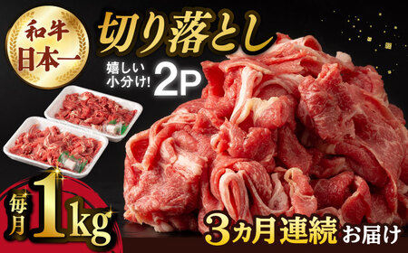 【3回定期便】【日本一の和牛】牛肉 切り落とし 長崎和牛（1kg/回）【肉のマルシン】 [FG26] 切り落とし 肉 切り落とし 牛肉 切り落とし 赤身 切り落とし 小分け 切り落とし しゃぶしゃぶ 切り落とし すき焼き 切り落とし 定期便 切り落とし