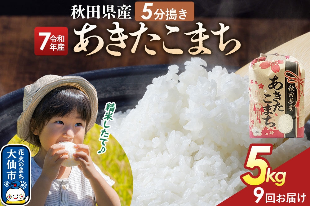 
                  《定期便9ヶ月》【5分搗き】あきたこまち 5kg 秋田県産 令和7年産 こまちライン 秋田県 大仙市産 [秋田 お米 米どころ あきたこまち こまちライン]
                