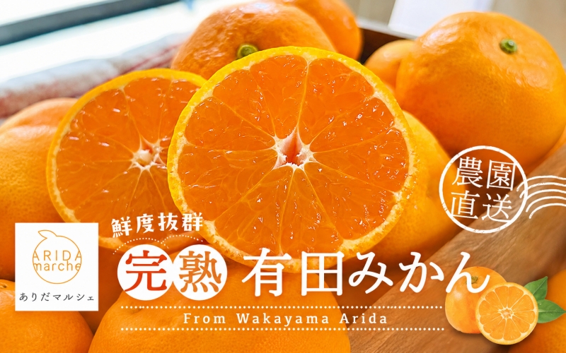 【11月発送】農園直送！完熟有田みかん 約1kg+200g【サイズ混合】 | 予約 和歌山 有田みかん みかん【ard002-2B-11】