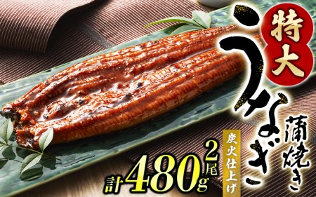 鰻 うなぎ 蒲焼 中国産 / うなぎ蒲焼 2尾 計約480g （タレ・山椒付き）1尾で約240gのビッグサイズ 鰻 うなぎ うなぎの蒲焼 炭火焼き 炭火 中国産【nks700RO】