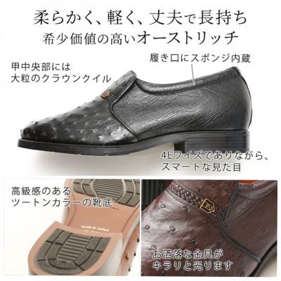 ふるさと納税 大和郡山市 高級オーストリッチ革プレーンスリッポン 幅広4Eワイドな紳士靴 No.1265 黒 23.5cm |  | 01
