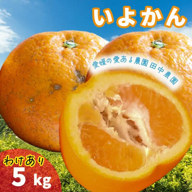 【2027年1月上旬頃から順次発送】伊予柑 約5kg 訳あり みかん わけあり【TNN012】
