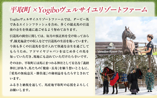 【アドマイヤジャパン×Yogibo】フェイスタオル BRTV042