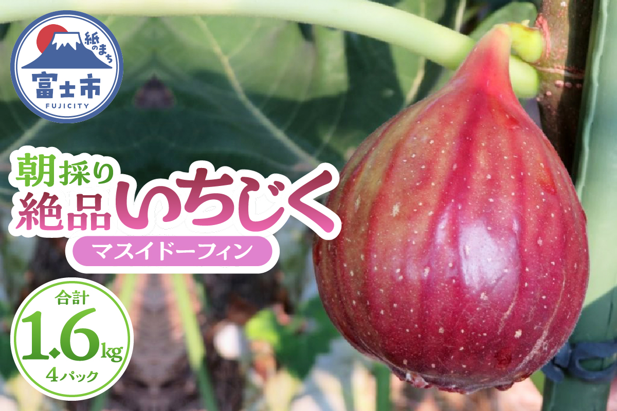 朝採り絶品いちじく（マスイドーフィン4パック）(a1212)