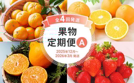 【定期便4回発送】果物定期便A　2025