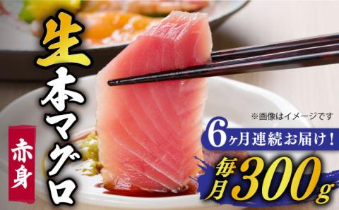 【全6回定期便】【ながさき水産業大賞受賞の新鮮なマグロを冷蔵でお届け！！】五島列島産 養殖 生本かみまぐろ 赤身 300g 魚介類 鮮魚 まぐろ 【カミティバリュー】 [RBP024]