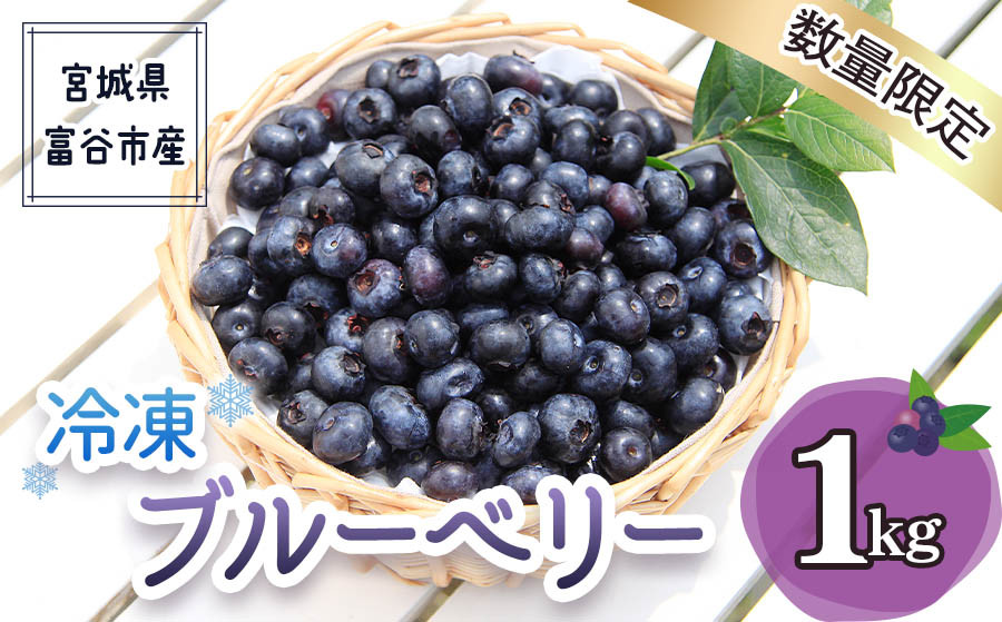 
                  2026年富谷市産 冷凍ブルーベリー1kg｜ブルーベリー 冷凍便 特産品 果実 スイーツ デザート ヨーグルト ジャム ジュース 果物 ギフト 贈答 贈り物 令和8年産 [0377]
                
