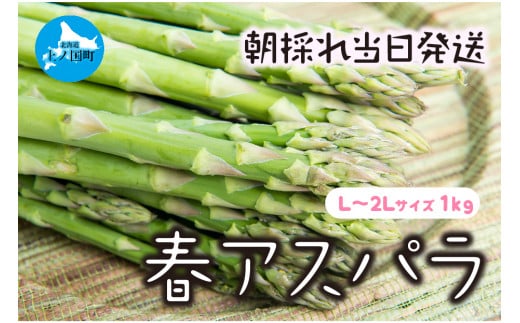 【2026年春発送】わかさ農園の朝採り春アスパラ　L～2L（1㎏）　グリーンアスパラ　朝採れ　農家直送　新鮮　甘い　春野菜　旬野菜　特産品　北海道産