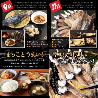ふるさと納税 室戸市 室戸流藁焼きかつおタタキと地魚干物セット定期便6回A(年6回・奇数月お届け) |  | 02