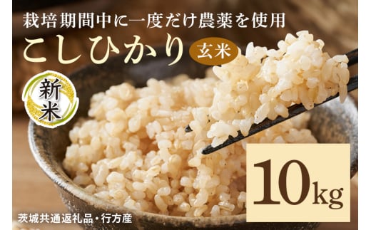 令和7年産新米 玄米 10kg 栽培期間中できるだけ農薬を減らした＜ こしひかり＞ 茨城県産 米 お米 コメ ご飯 コシヒカリ 食味豊か 甘み 旨み 冷めても 美味しい お弁当 向け 食卓常備 産地直送 茨城県 潮来市 ＜茨城県共通返礼品・行方市産＞ (A03-019)