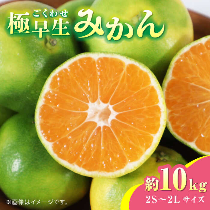 【ふるさと納税】【先行予約】極早生みかん 約10kg　2S〜2Lサイズ　【くまふる】[ZBG054]