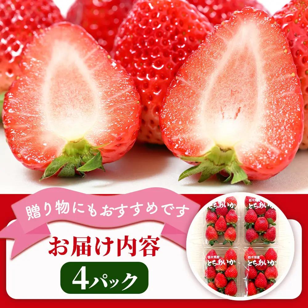 【先行予約】出会いの森いちご園 とちあいか （290g×4パック） | いちご イチゴ 苺 栃木県 果物 くだもの フルーツ とちあいか 新鮮 贈答 ギフト デザート スイーツ ※2026年12月～発