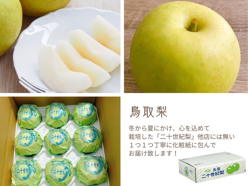 数量限定 鳥取県産 梨 訳あり ご自宅用 二十世紀梨 5kg