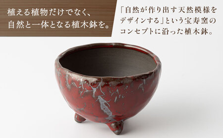 【宝寿窯】植木鉢 小magma[UCN026-4] 植木鉢