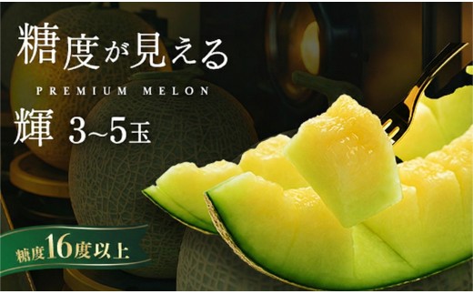 品質が見える メロン ＼光センサーで計測 糖度16度以上！／ 至高のアンデスメロン【輝】等級 3玉～5玉  ｜めろん アンデスメロン おすすめ 人気 国産 茨城 鉾田 サングリーン旭 旬 プレゼント 贈り物  特秀 青肉 青 果物 5月以降発送