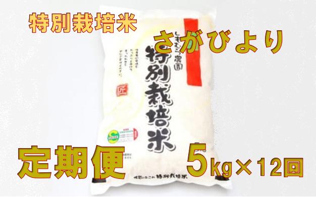 
【定期便】農薬・化学肥料：栽培期間中不使用米 さがびより(5kg×12回)1年間連続お届け
