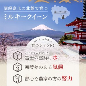 【令和5年産】富士吉田の美味しいお米 ミルキークイーン 5kg 米 山梨米 白米 富士吉田米 米 お米 ミルキークイーン米 米5kg