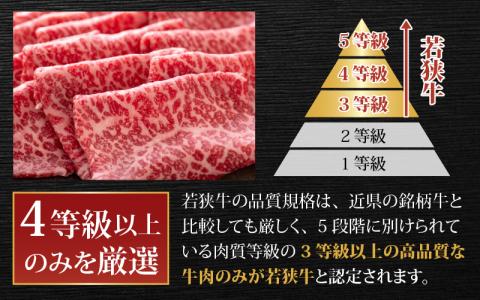 【肉の定期便×3回コース】肉好き大集合！若狭牛 食べ比べ 定期便！【福井のブランド牛肉】【4等級以上】[E-054003]