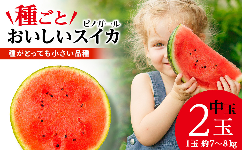 
            【2025年夏発送】スイカ 中玉 2玉 7～8kg
          