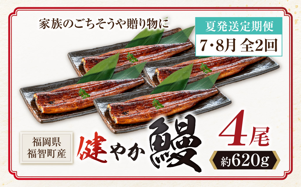 健やか鰻 国産うなぎ蒲焼(無頭)4尾(計620g以上) 定期便(夏発送・7月〜8月・全2回) 4尾 定期便(夏発送・7月〜8月・全2回)