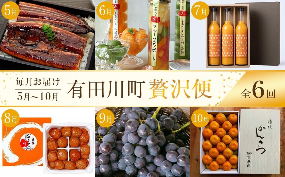 全6回 有田川町から贅沢定期便（5月～10月発送）フルーツ うなぎ スイーツ 梅干し など ARD09