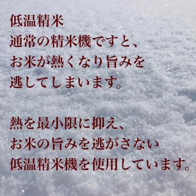 ふるさと納税 新庄市 【毎月定期便】極みのササニシキ(精米)5kg全6回 |  | 02