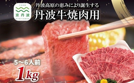 丹波牛 焼肉用 1kg 5～6人前 【 黒毛和牛 国産牛 焼肉 丹波牛 赤身 霜降り 焼肉のタレ付き たれ 京都 丹波 いづつ屋 】 [048IZ001]