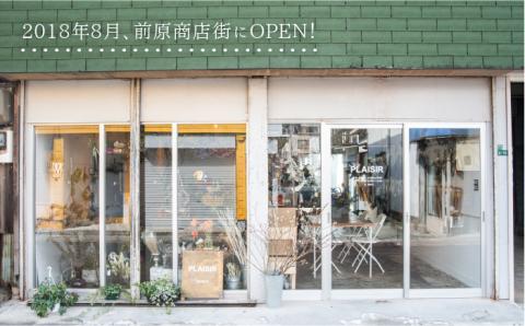 [数量限定]ドライフラワースワッグ≪糸島≫【PLAISIR】贈り物/花/インテリア/部屋飾り [ANC005]