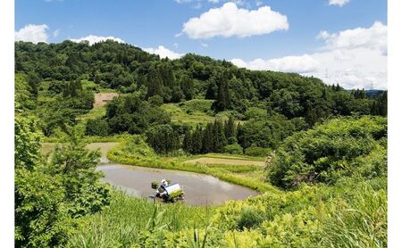 江戸伝承厳選棚田米４Kg（２kg×２） お米 コメ 
