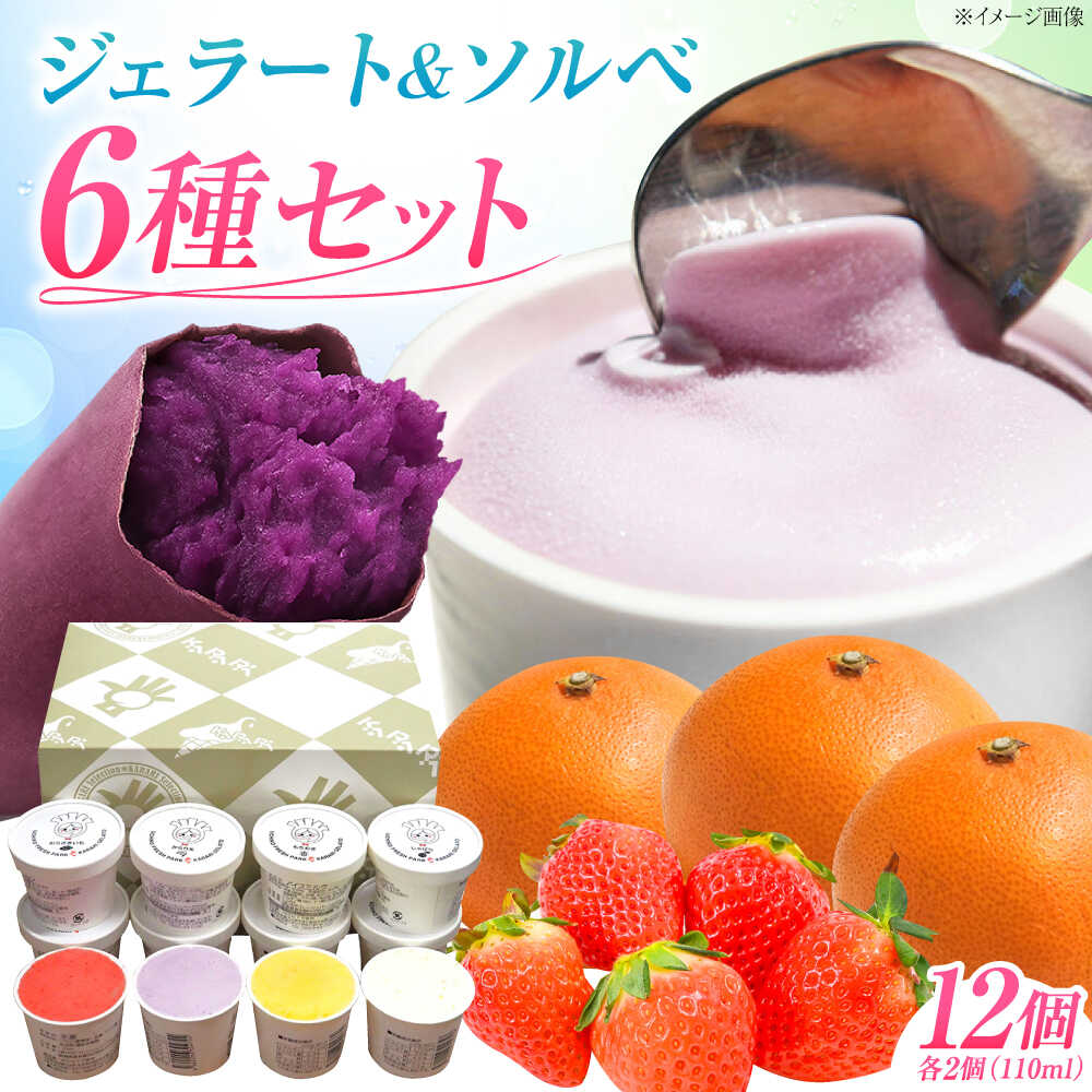 【ふるさと納税】ジェラート&ソルベ 12個 ／ ジェラート じぇらーと アイス あいす ソルベ お菓子 菓子 おかし スイーツ デザート 愛媛県 内子町 【株式会社内子フレッシュパークからり】[BKAD090]