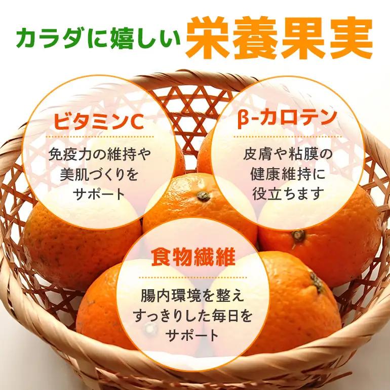 【 2027年 先行予約 】《 奄美大島産 》 おいしい 完熟 たんかん 光センサー選別 5kg A145-002 期間 数量 限定 柑橘 みかん 果物 フルーツ 旬 甘い 光センサー サイズ おまか