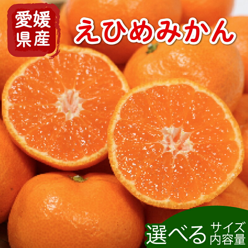 訳あり 家庭用 愛媛みかん 5kg 柑橘 果物 国産 フルーツ 有名 みかん 清家ばんかんビレッジ 蜜柑 ブランド 大きさ 不揃い 傷 大小ミックス 温州 愛媛県 愛南町 果実 ビタミン 美味しい 発送期間：11月上旬~1月下旬