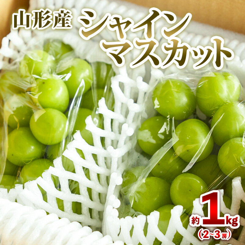 【ふるさと納税】山形産 シャインマスカット 約1kg (2〜3房) 秀品 【令和8年産先行予約】FS25-606 くだもの 果物 フルーツ 山形 山形県 山形市 お取り寄せ 2026年産