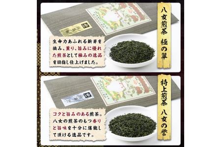 八女茶煎茶セット 極・ 誉・宝の翠(合計300g・100ｇ×3本) 緑茶 せん茶 お茶 許斐本家 福岡 やめ  常温 常温保存【ksg1316】【くしだ企画】