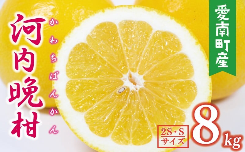 
                  【数量限定】 先行予約 河内晩柑 樹齢 25年以上 ちびっこ 8kg （ 2S ・ Sサイズ ） 8000円 みかん mikan 蜜柑 ミカン かわちばんかん 愛南ゴールド あいなん ゴールド 文旦 派生 和製 グレープフルーツ 産地直送 国産 農家直送 期間限定 特産品 ゼリー ジュース アイス 等に 人気 限定 甘い さわやか フルーツ 果物 柑橘 蜜柑 みかんの山祥 愛南町 愛媛県
                