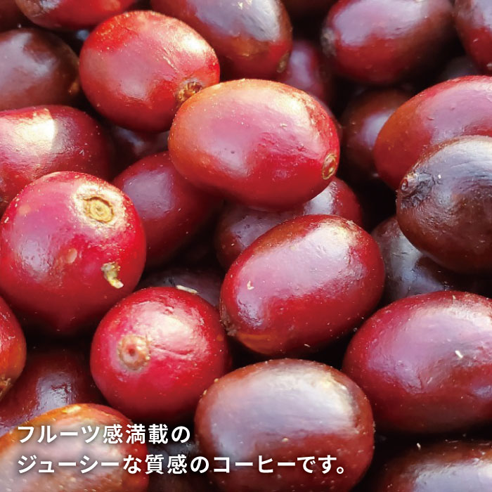 中煎り コーヒー 豆 250g × 2袋 （ 豆 ・ 粉 選べます ） ニカラグア産 ラベンディション農園 パカマラ種 ナチュラル糸島市 / COFFEE UNIDOS [AQF001]